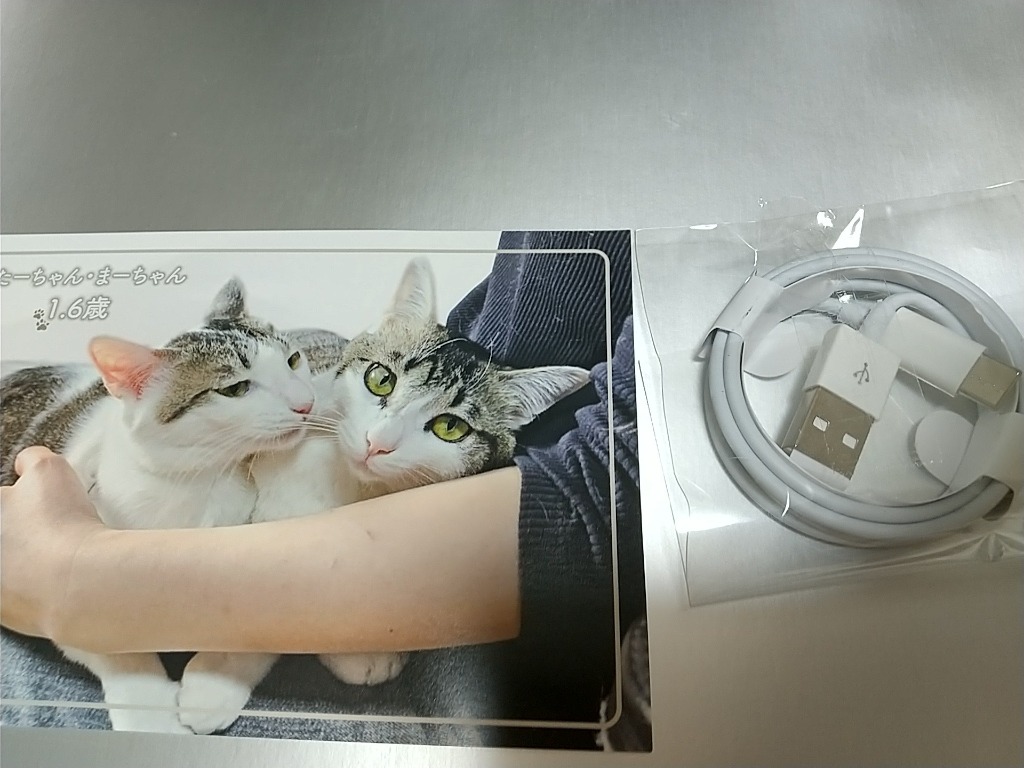 全体のレビュー画像 | 5-0