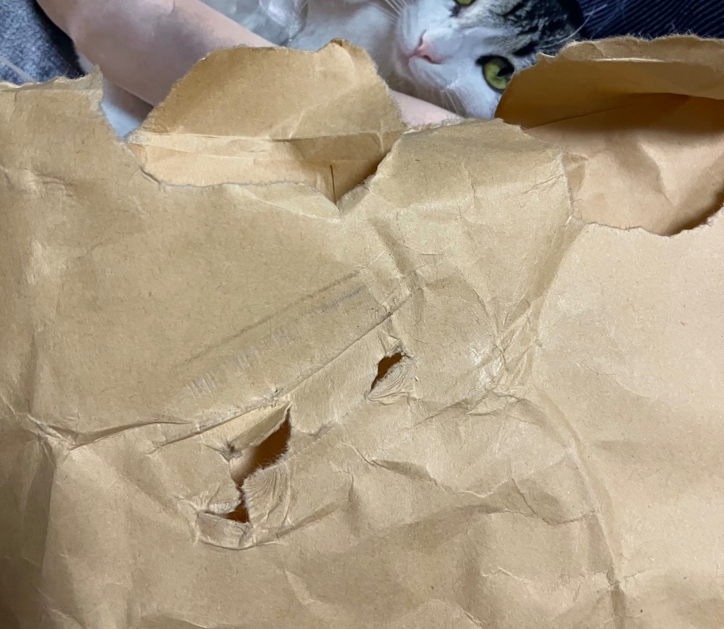 全体のレビュー画像 | 0-0