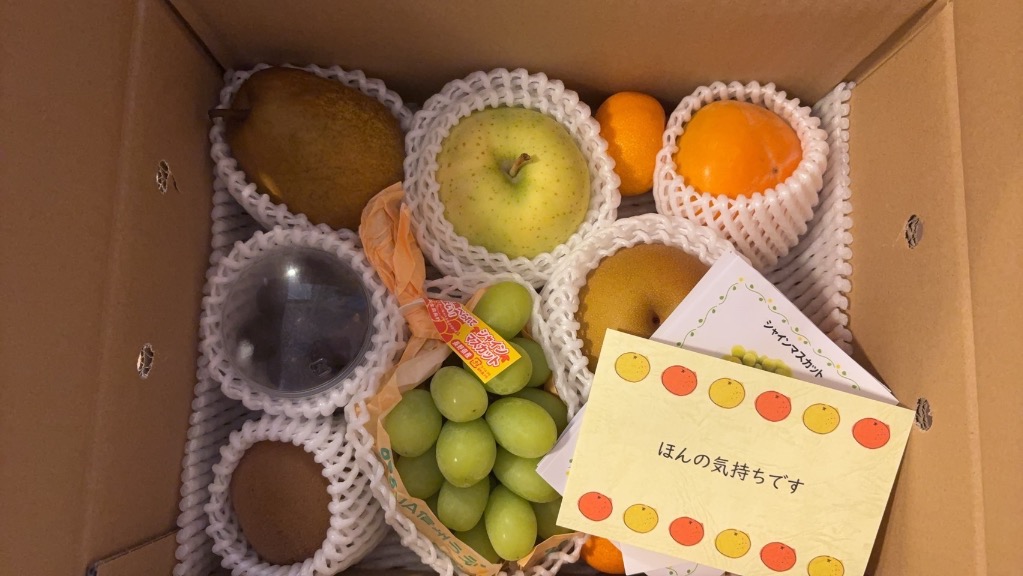 青木フルーツ 果物 フルーツ 旬の お楽しみ フルーツBOX