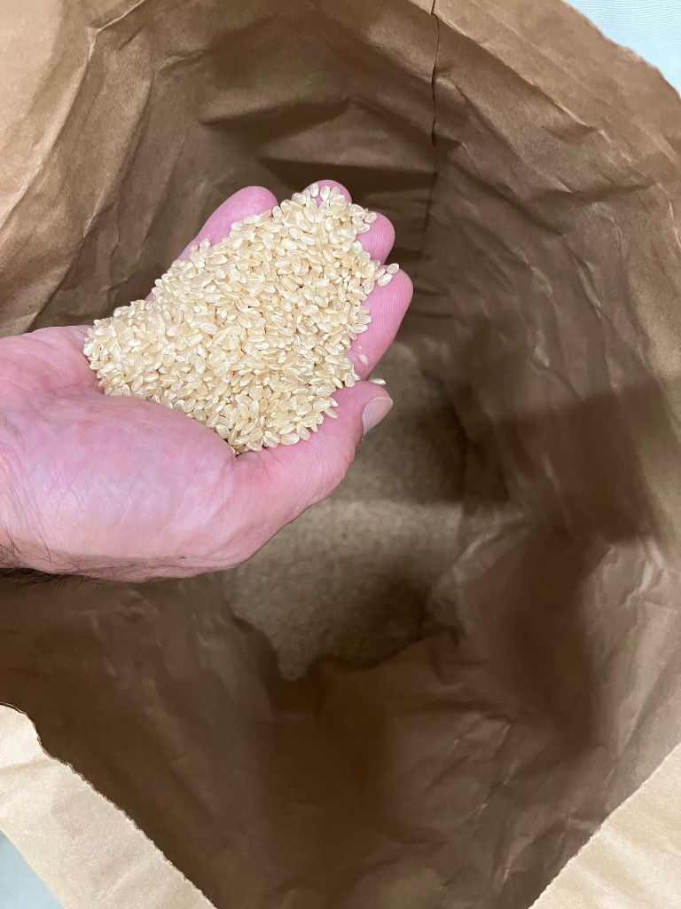 令和8年産 新米 こしひかり コシヒカリ 爆買 玄米30kg 精米 茨城県
