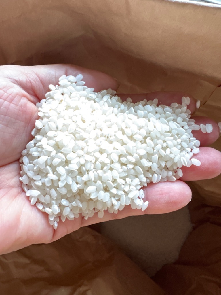 令和6年産 ミルキークイーン 30kg 玄米 白米 茨城県産 笠間産 1