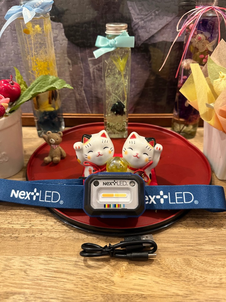 ネクスト エルイーディー(Next LED) モーションセンシングディテー