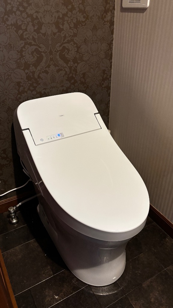 TOTO TCF9A04 ウォシュレット一体形 取替機能部 下のボックスでカラー