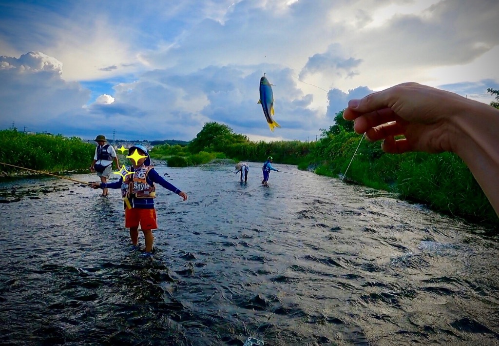 全体のレビュー画像 | 1-0
