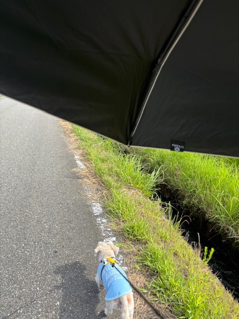 全体のレビュー画像 | 2-0