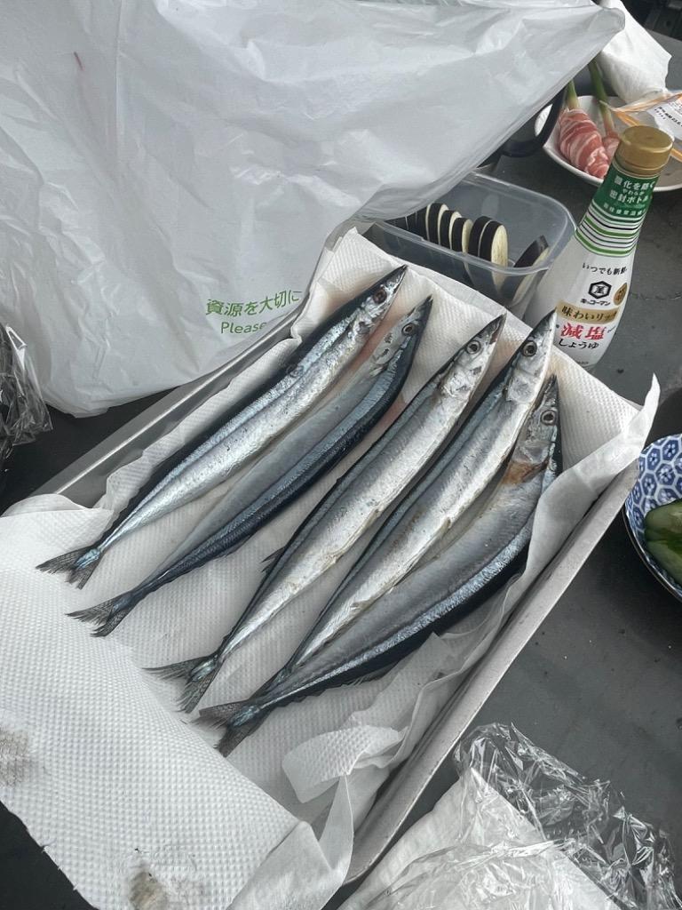 業務用 冷凍 ぎょれん 北海道産 生さんま10尾 (冷凍サンマ 秋刀魚 1尾ずつ冷凍) [1198605]