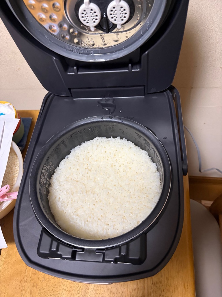 IRIS OHYAMA（アイリスオーヤマ） 炊飯器 5.5合炊き 一人暮らし用 圧力
