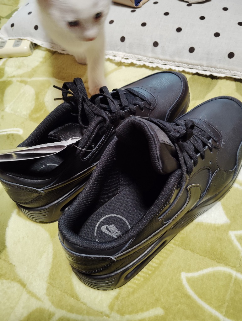 NIKE スニーカー メンズ シューズ ナイキ エアマックス SC LEA