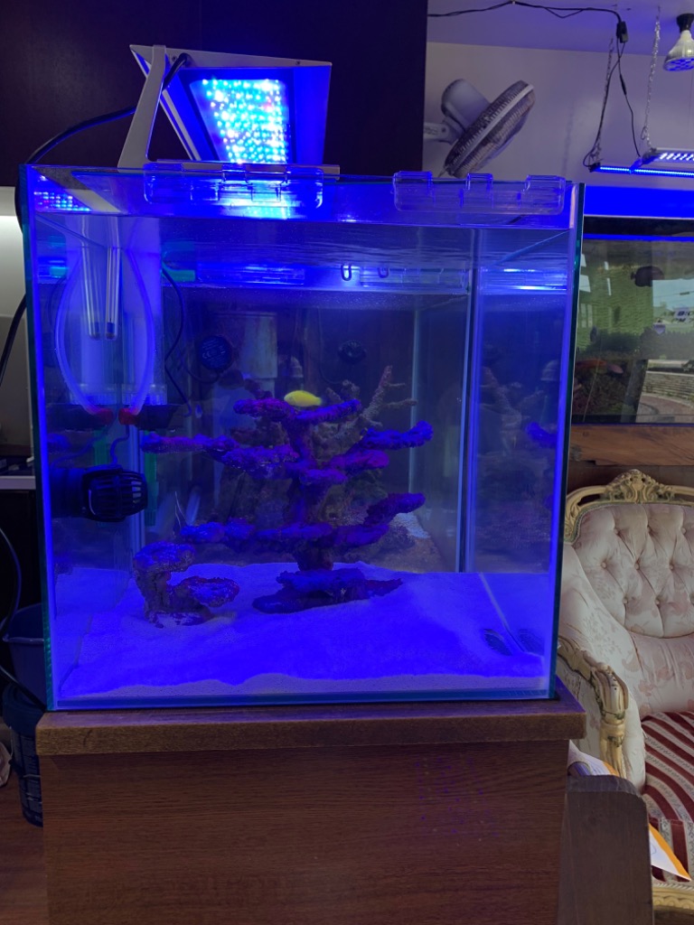 MICMOL AIR PRO900 112W LED照明 90cm-110cm! 海水魚・サンゴ用【LED照明】(t178 : c-5010 :  アクアギフト - 通販 - Yahoo!ショッピング