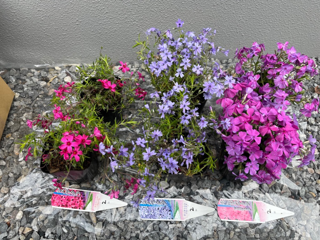 全体のレビュー画像 | 3-0