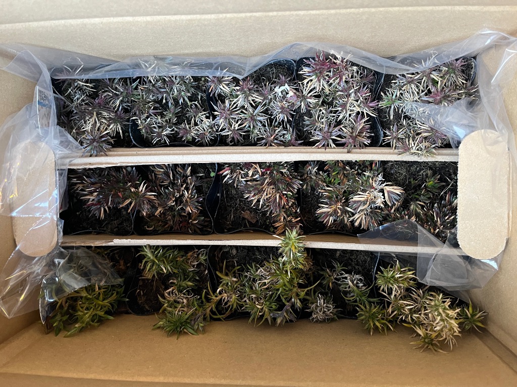 全体のレビュー画像 | 0-0