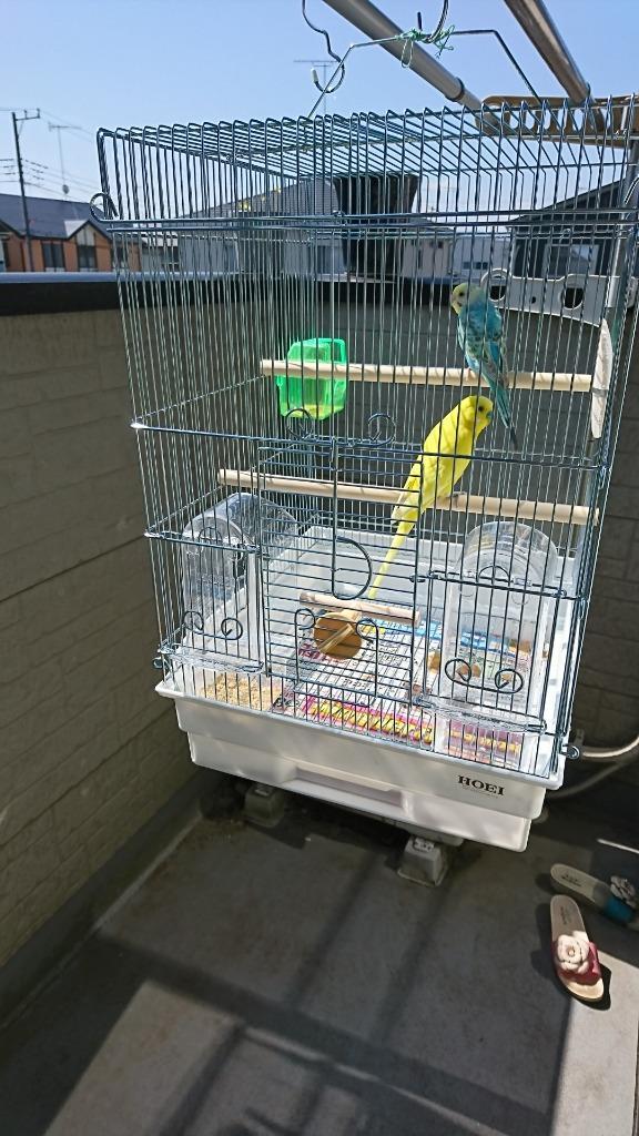 HOEI 鳥かご ケージ 35手のりG 底カラー ホワイト 送料無料