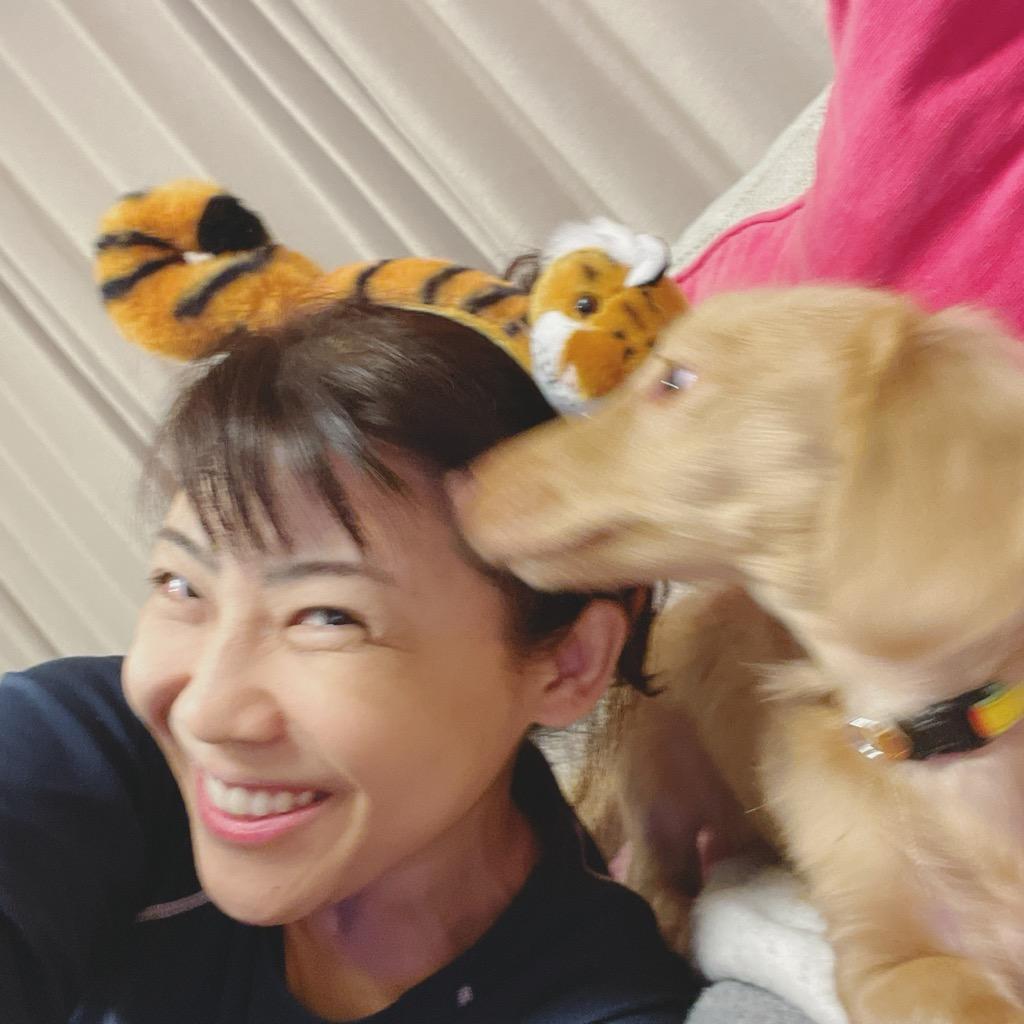 注目の福袋をピックアップ 虎 耳 コスプレ 子供 赤ちゃん 犬 トラ カチューシャとら 寅年 かぶりもの ぬいぐるみコスチューム カウントダウン カウコン インスタライブ 干支 Toranoko Materialworldblog Com