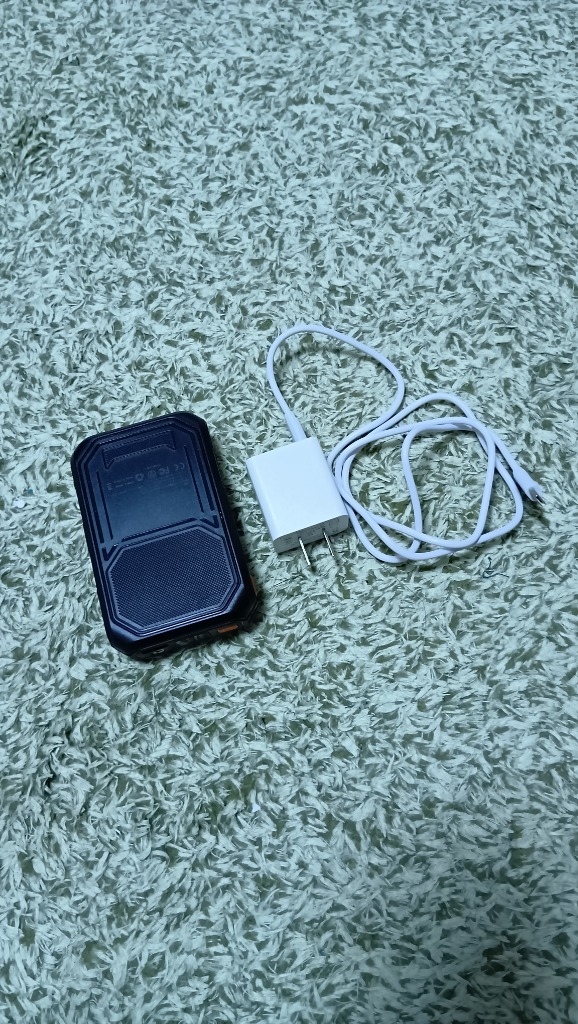 レビュー画像