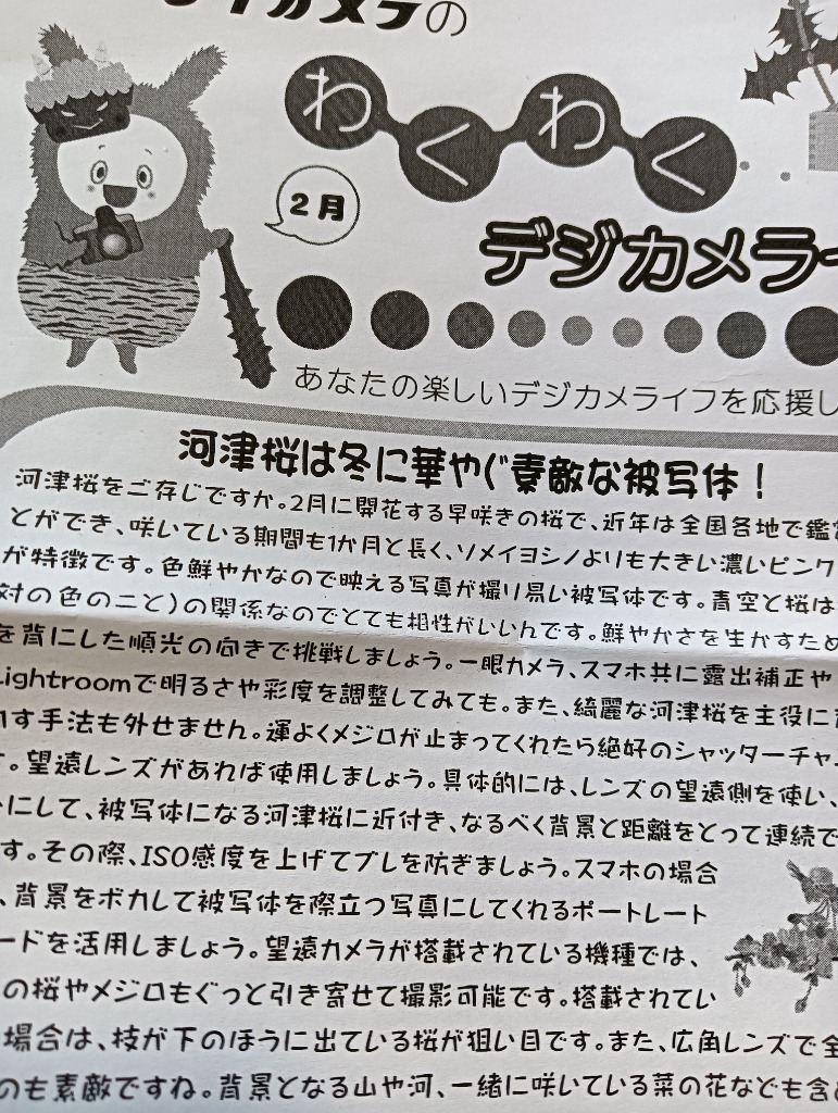 全体のレビュー画像 | 1-0