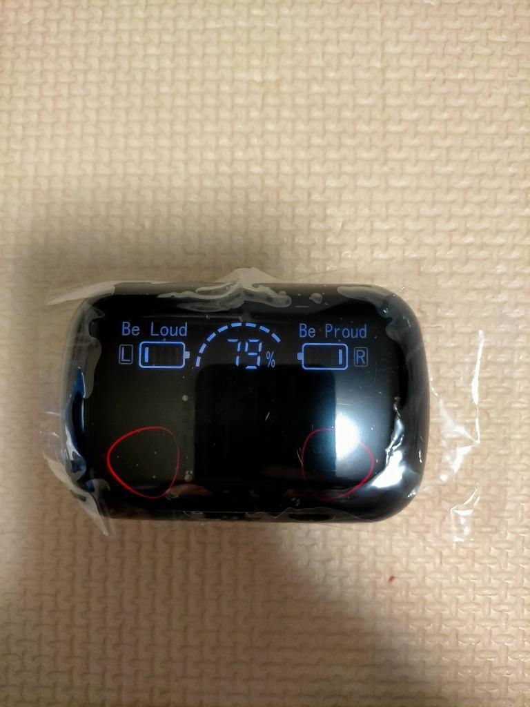 レビュー画像