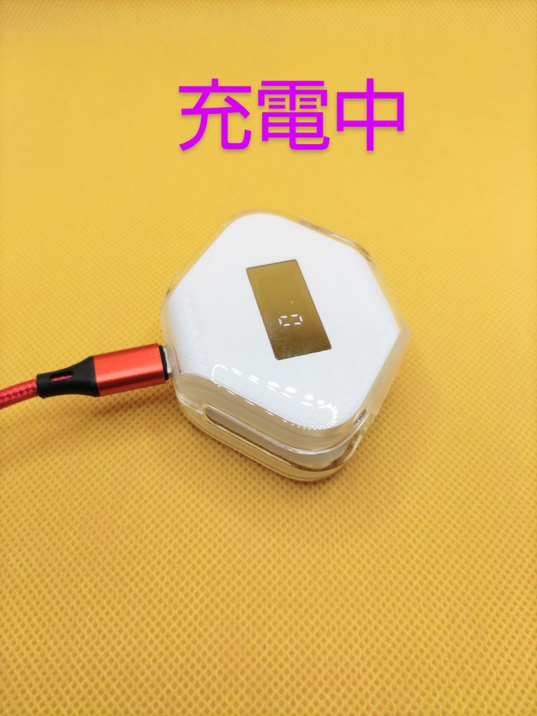 レビュー画像