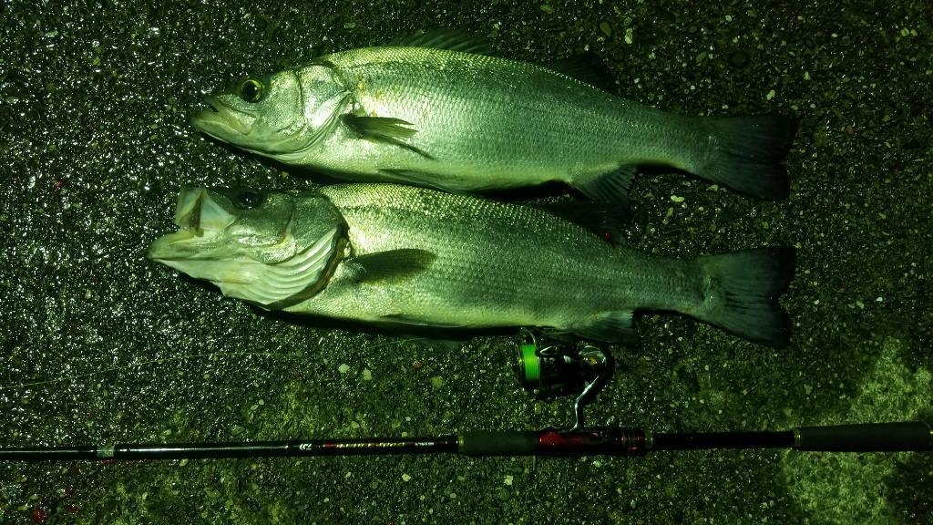 DAIWA（釣り） オーバーゼア AGS 1010M/MH ショアジギングロッド