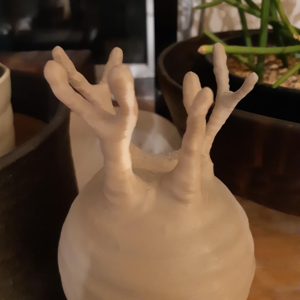 フェイクグリーン 3D フィギュア グラキリス パキポディウム 葉