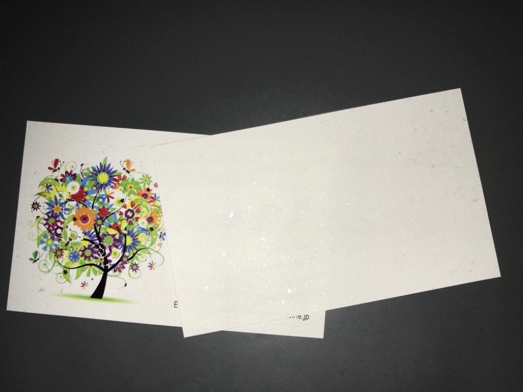 1件目のレビュー画像 | 0