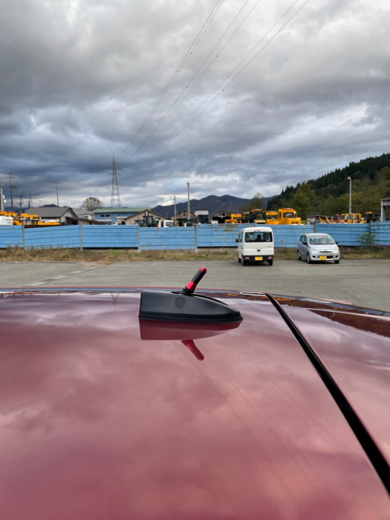 イタリアCarbo社製高感度ユーロアンテナ SPARCO CORSA アンテナ ショート 65ミリ SPA434[21] : 雑貨