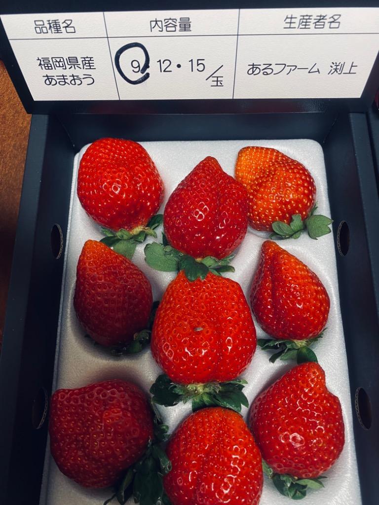2箱以上で送料無料 特大の苺 いちごの王様 あまおうイチゴ 勝ち