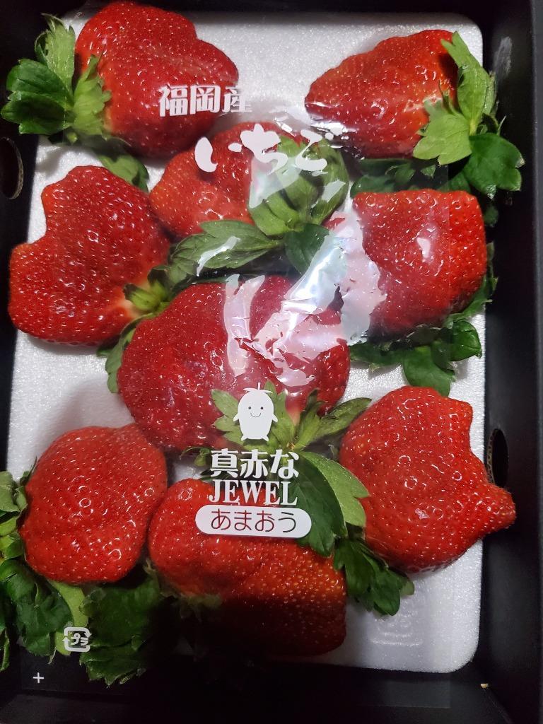 2箱以上で送料無料 訳あり 部長のあまおう 特大の苺 いちごの