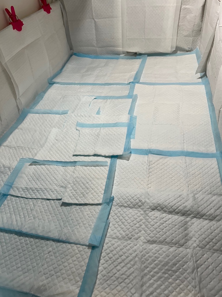 全体のレビュー画像 | 10-0