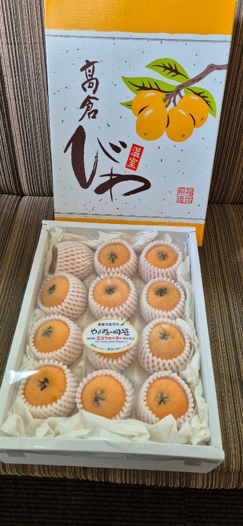 びわ 大玉 1kg 3L-4L 化粧箱入 高倉びわ なつだより 化粧箱入り
