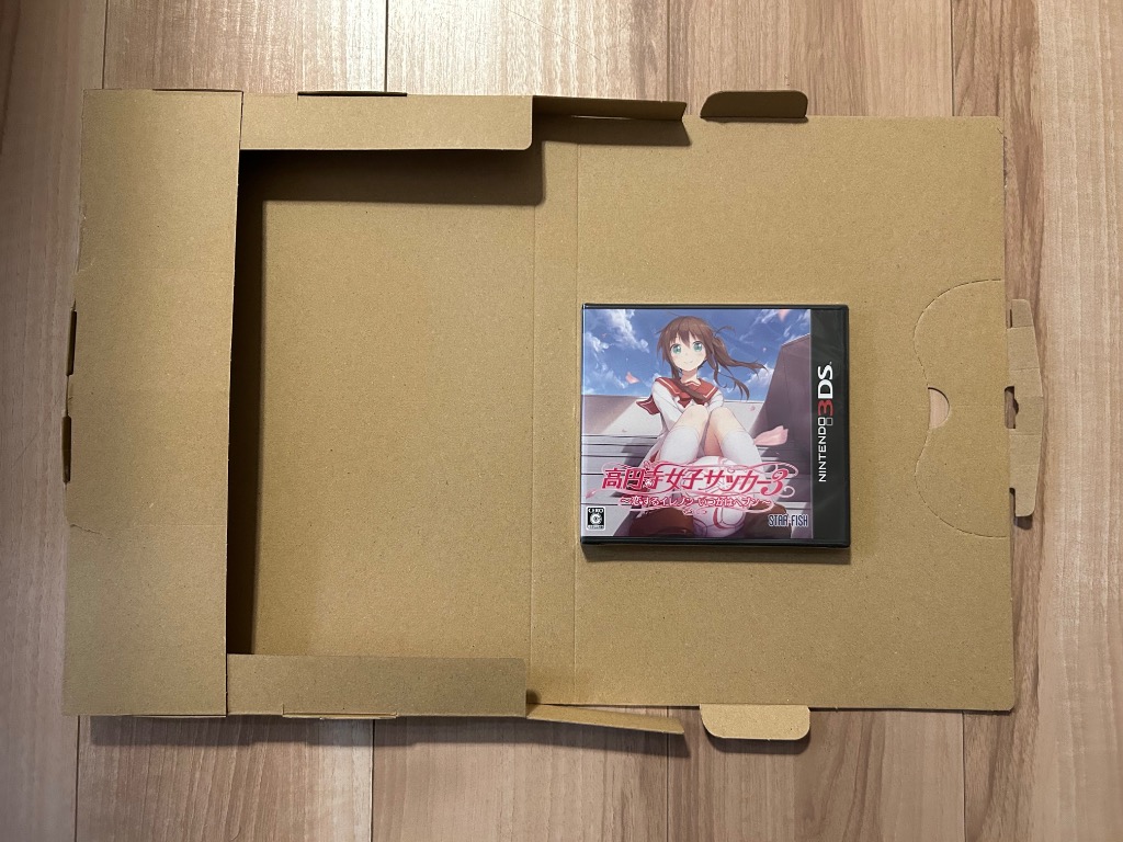 ニンテンドー3DS『高円寺女子サッカー3 ～恋するイレブン いつか