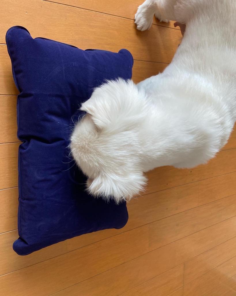 全体のレビュー画像 | 3-0