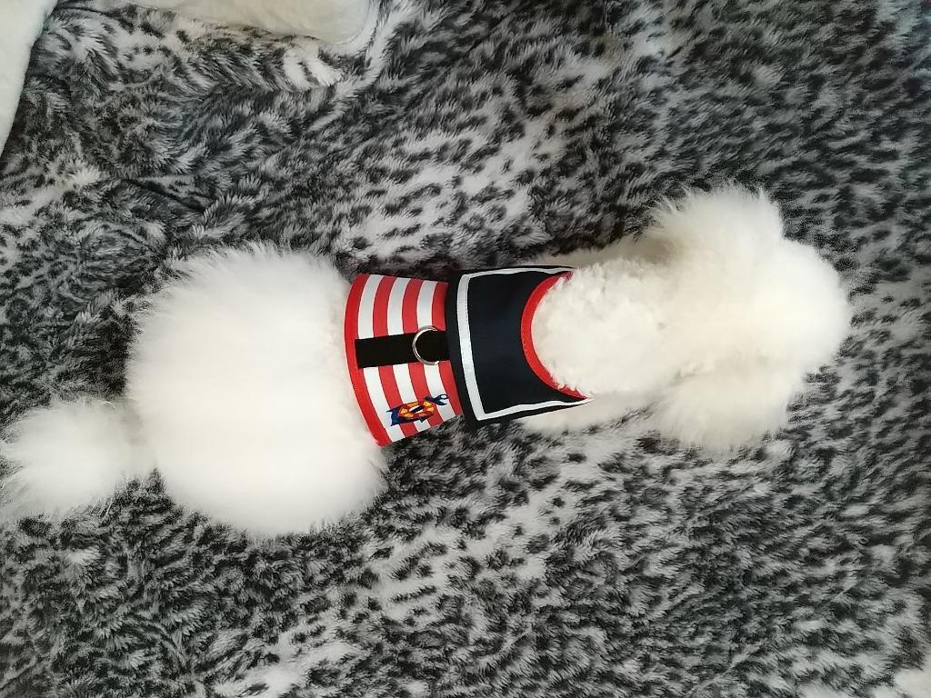 5件目のレビュー画像 | 0