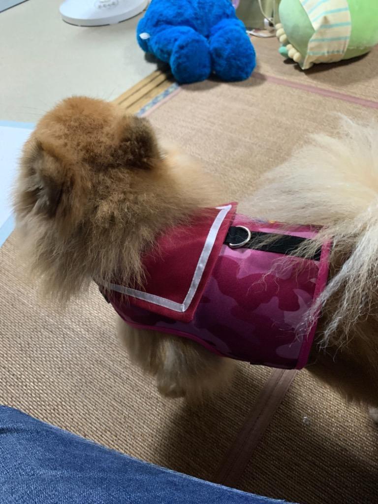 6件目のレビュー画像 | 2