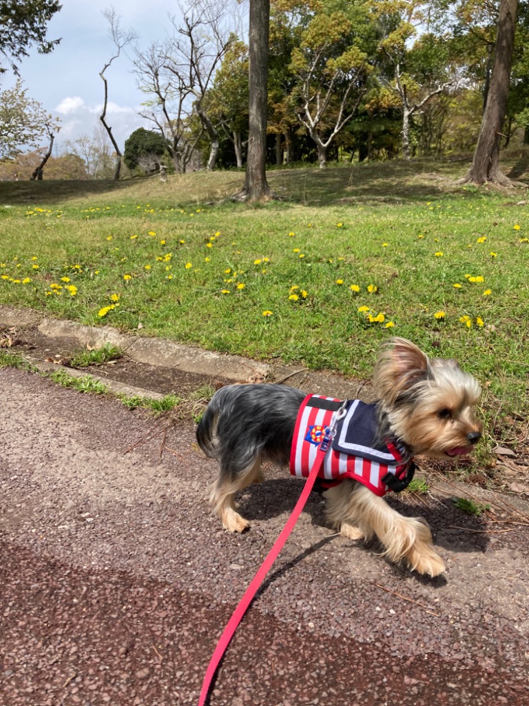 全体のレビュー画像 | 7-0