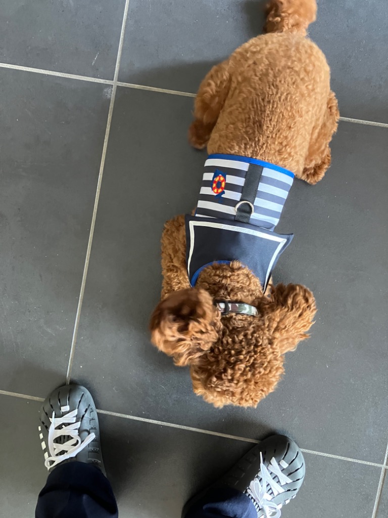 全体のレビュー画像 | 0-0