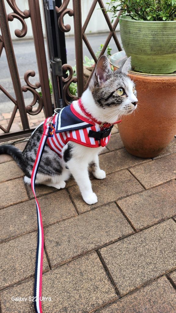 4件目のレビュー画像 | 1