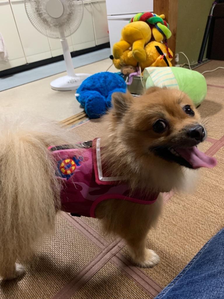 6件目のレビュー画像 | 0