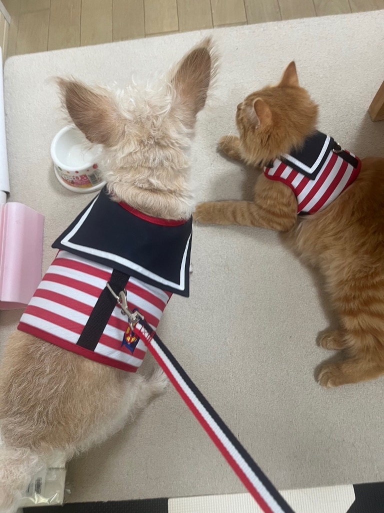 全体のレビュー画像 | 2-0