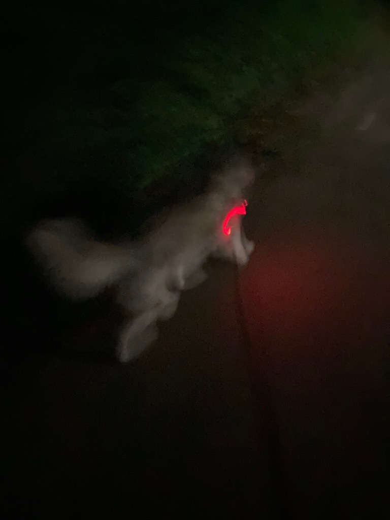 全体のレビュー画像 | 0-0