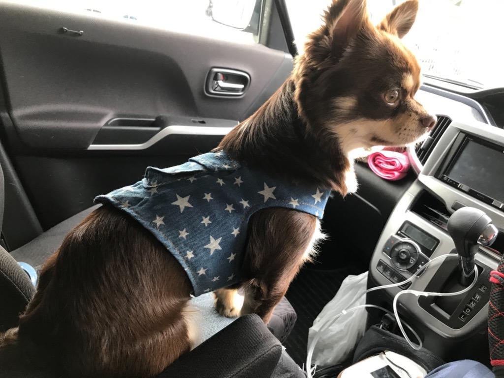 全体のレビュー画像 | 13-0