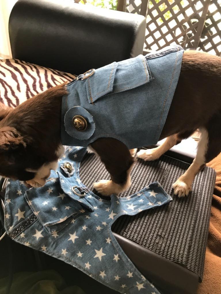 全体のレビュー画像 | 12-0