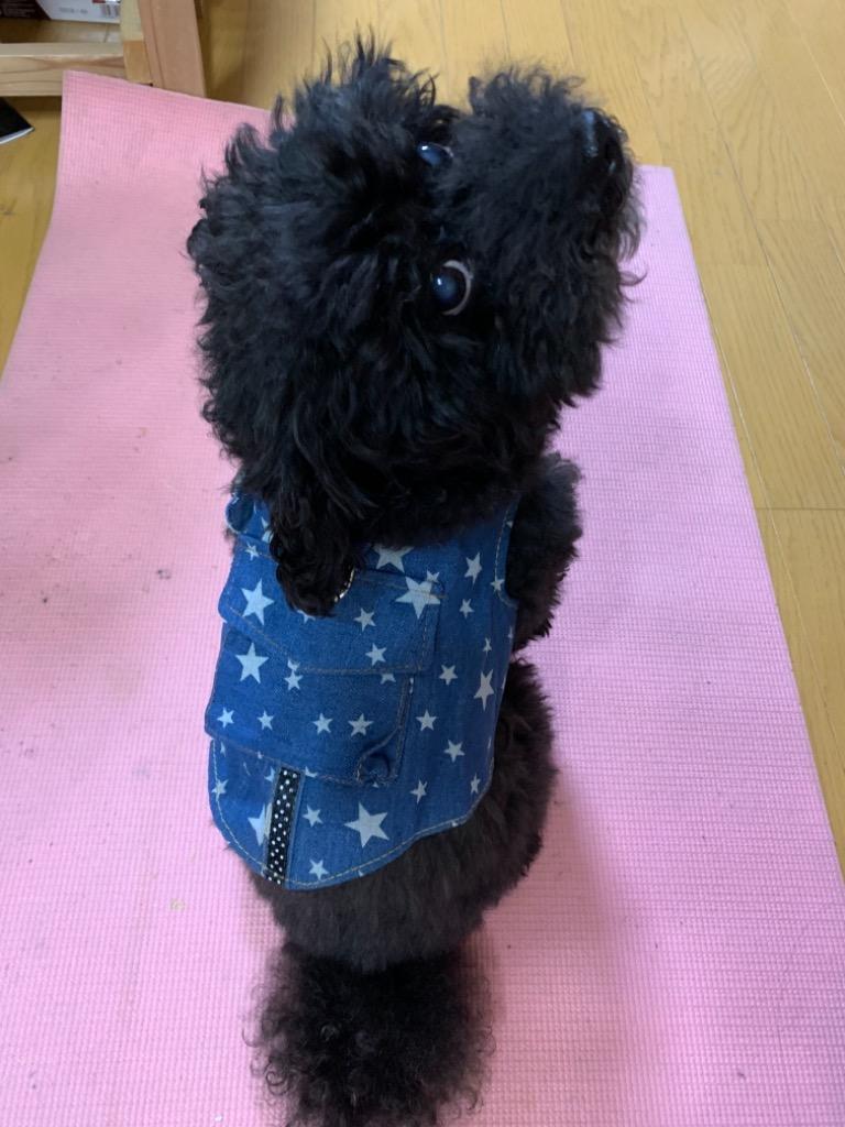 全体のレビュー画像 | 8-0