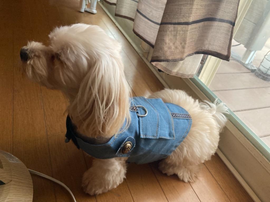 全体のレビュー画像 | 11-1