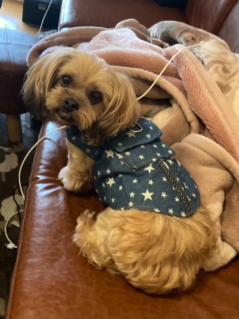 全体のレビュー画像 | 11-0