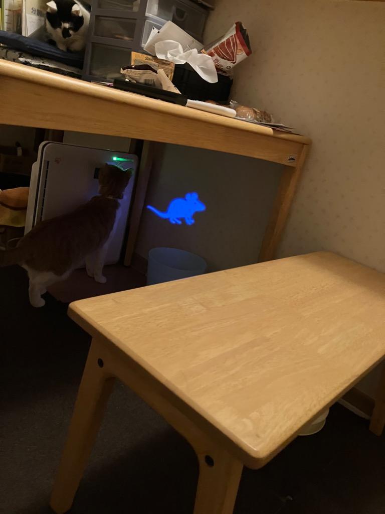 10件目のレビュー画像 | 0