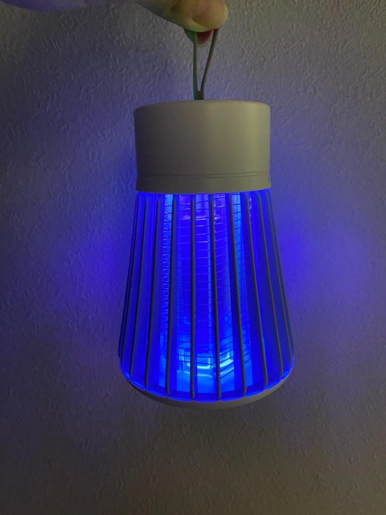 全体のレビュー画像 | 2-0