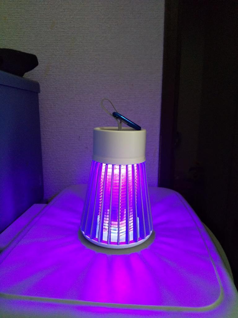 全体のレビュー画像 | 1-0