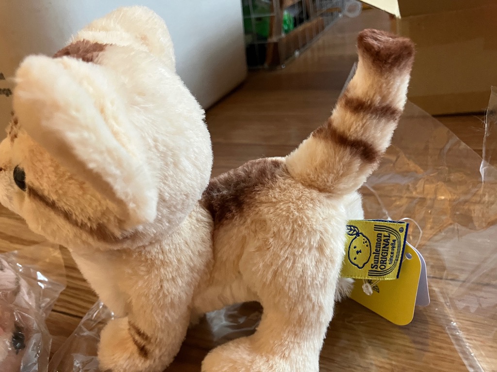 サンレモン kitten キトン ぬいぐるみ 猫 ねこ : 遊びDS - 通販