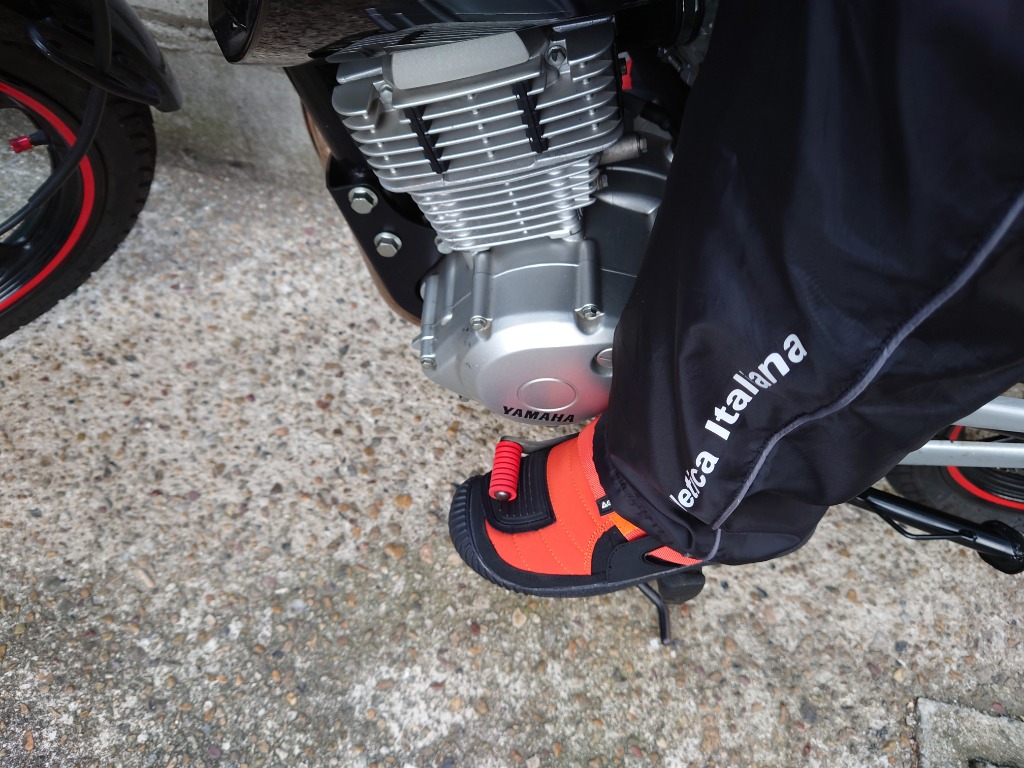 全体のレビュー画像 | 1-0