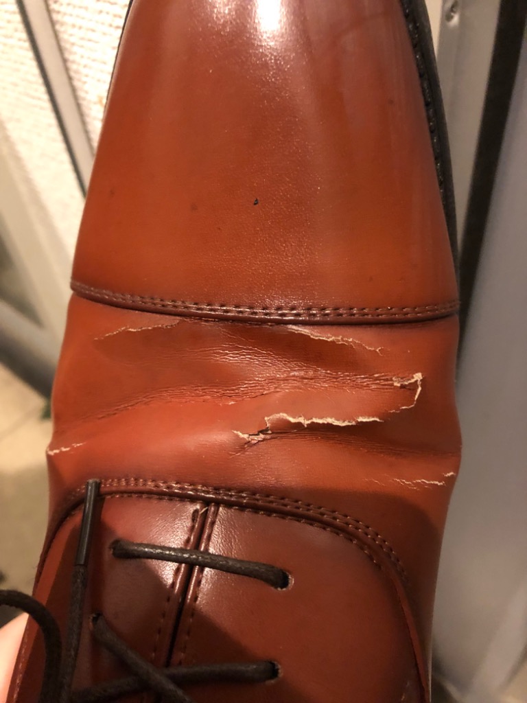 2件目のレビュー画像 | 0